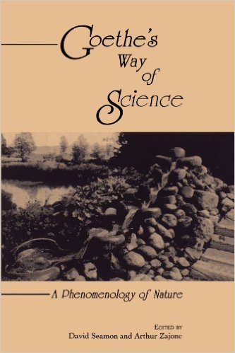 Goethe’s Way of Science: A Phenomenology of Nature