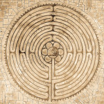 Contemplative Pedagogy & Higher Education