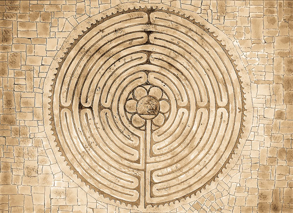 Contemplative Pedagogy & Higher Education